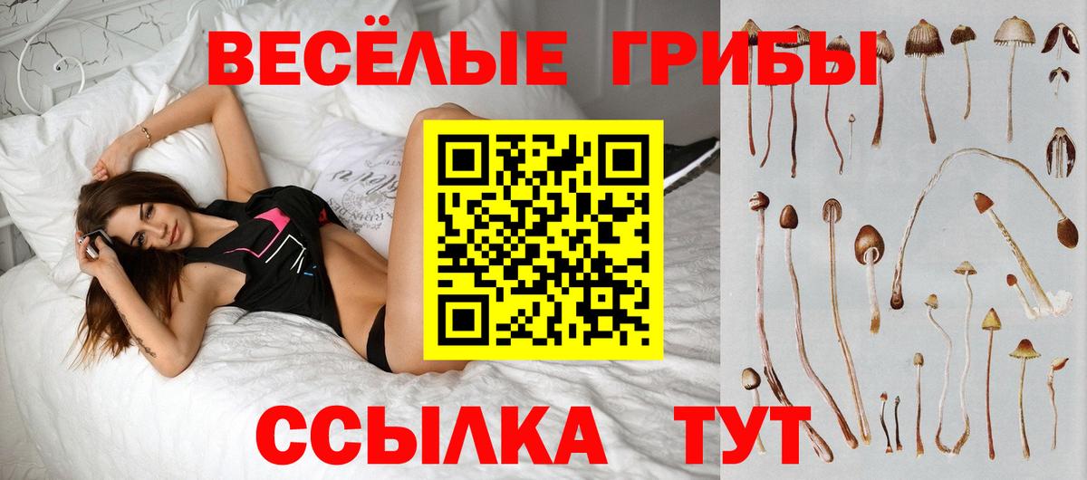 Псилоцибиновые грибы прущие грибы  Вход с VPN  дарнет шоп  Сызрань 
